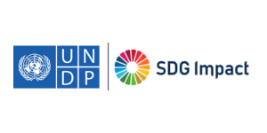 UNDP SDG